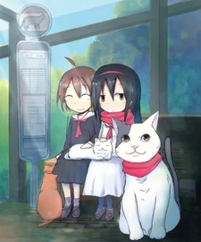 2200 Cat Country Japan