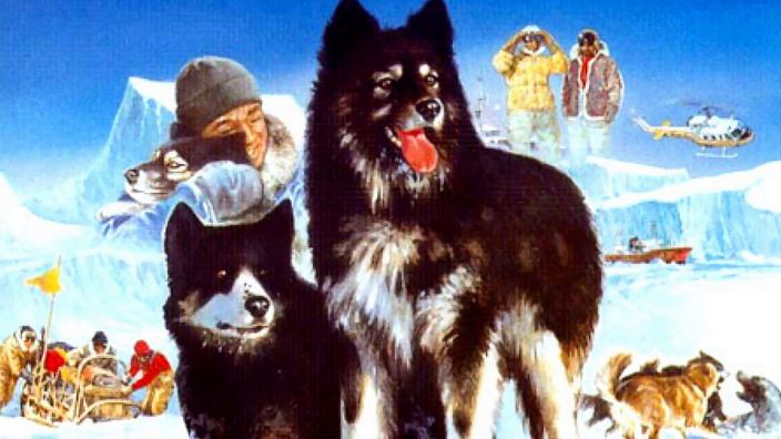 <b>Antarctica</b>, storia vera dei mitici cani da slitta Taro e Jiro: vostro parere