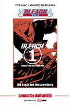 Bleach - Cronache dall'aldilà