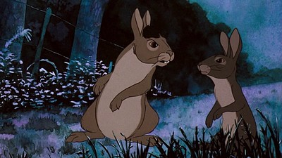 La collina dei conigli