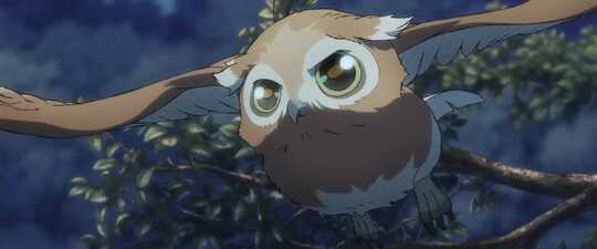 The Camphorwood Custodian