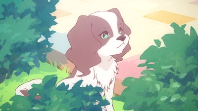 The Stories of Girls Who Couldn't Be Magicians