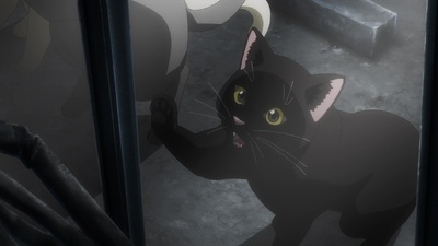 Nyaight of the Living Cat