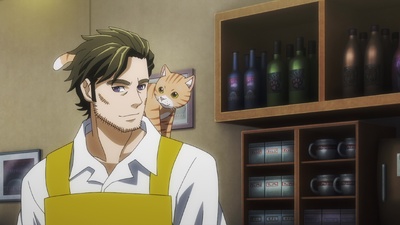 Nyaight of the Living Cat