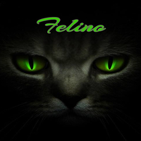 felino91