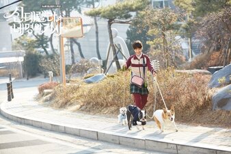 Cinderella and the Four Knights