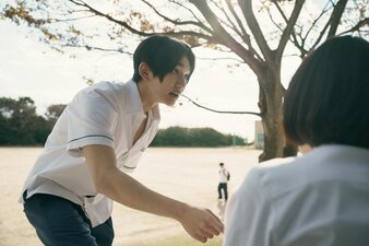 Vorrei dirti che ti amo