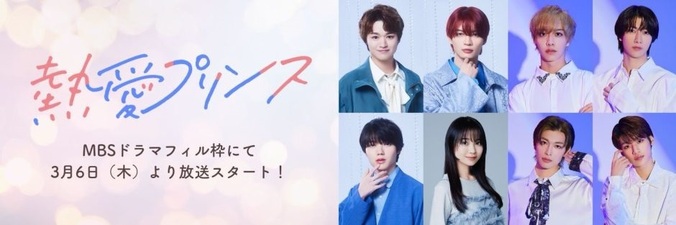 Secret Love with Prince