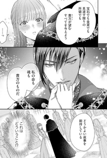 Akuyaku Ōji no Ichizu na Shūchaku, Hatenai Dekiai. - Mob Reijō na no ni Gokujō Aibu de Ikasareppanashi desu!