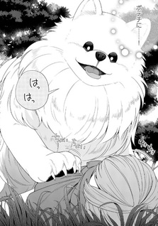 Isekai Pomeranian to Niji no Mofumofu Tabi