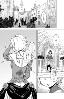 Katsute wa Saikyō Muteki no Yūsha-sama ~ Hime ni wa naisho no reberu daun seikatsu ~