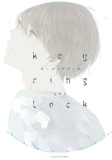 Key Ring Lock