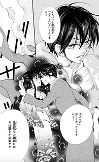 Otome Junjou Erotica Heaven