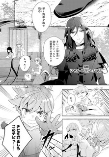 Sugar Apple Fairy Tale: Ginsatoushi no Ie