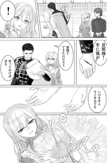 Yarinaoshi Reijō wa, Daisukina Danna-sama ni Rikonshiyō to Iwasetai