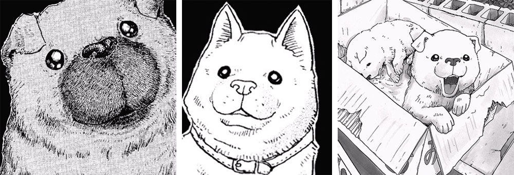 MANGA REVIEW - Il cane che guarda le stelle 