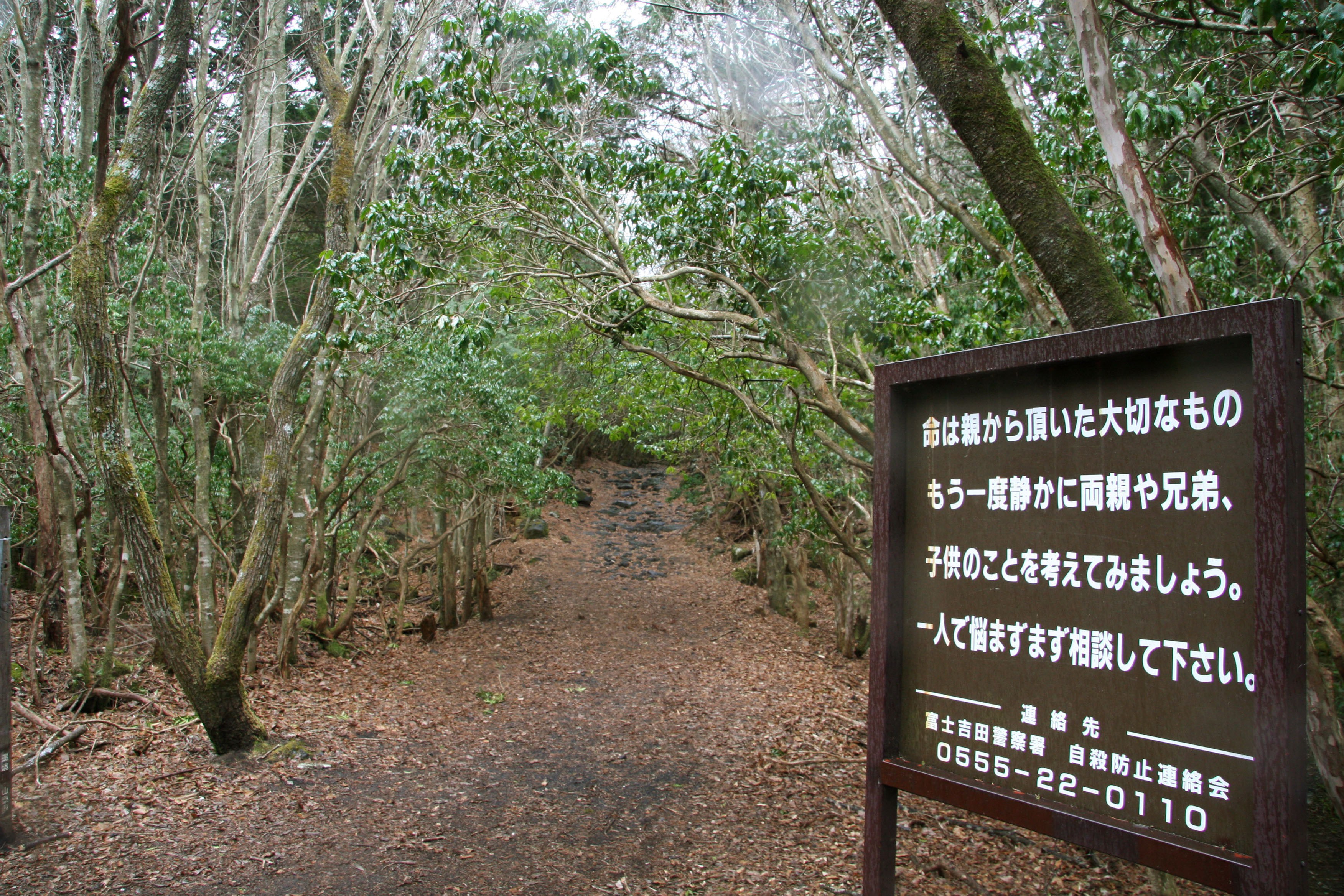 mappa della foresta di aokigahara