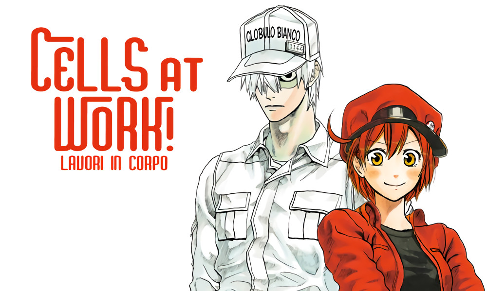 Cells at Work!: promosso a pieni voti pure da un dottore! | AnimeClick