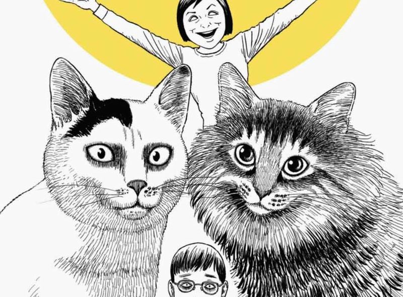 junji-ito-cat-diary-cover.jpg