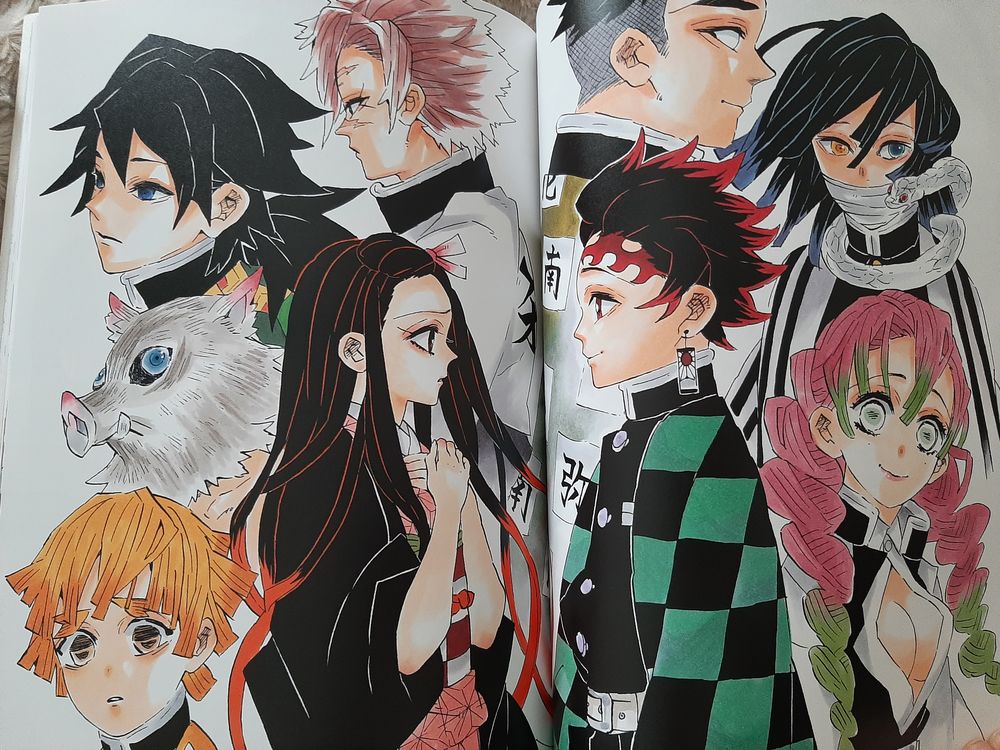 Demon Slayer artbook