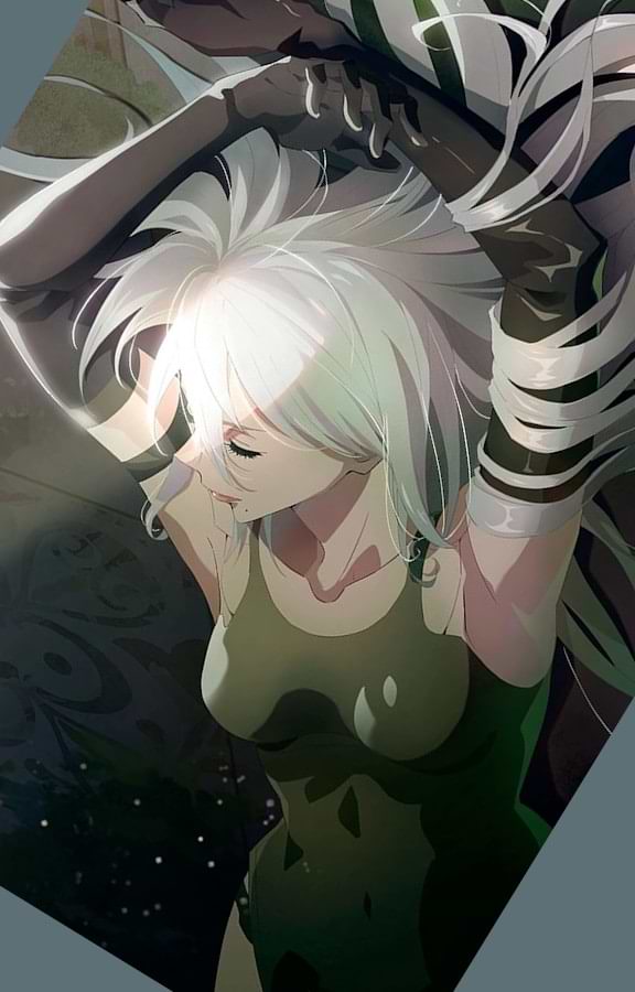 A2