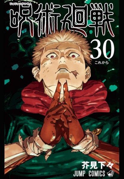 Jujutsu Kaisen 30