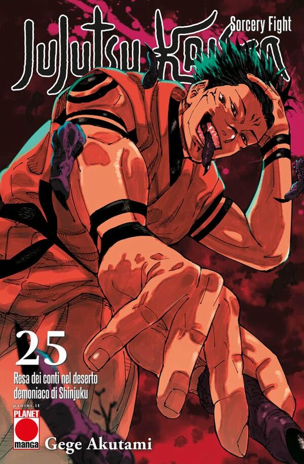 Jujutsu Kaisen Vol.25