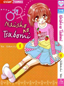 Naisho No Tsubomi - cover