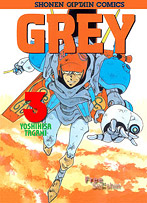 Grey volume 3