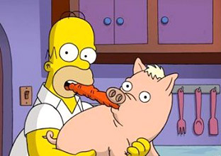 Homer Simpson & Spider-Pork